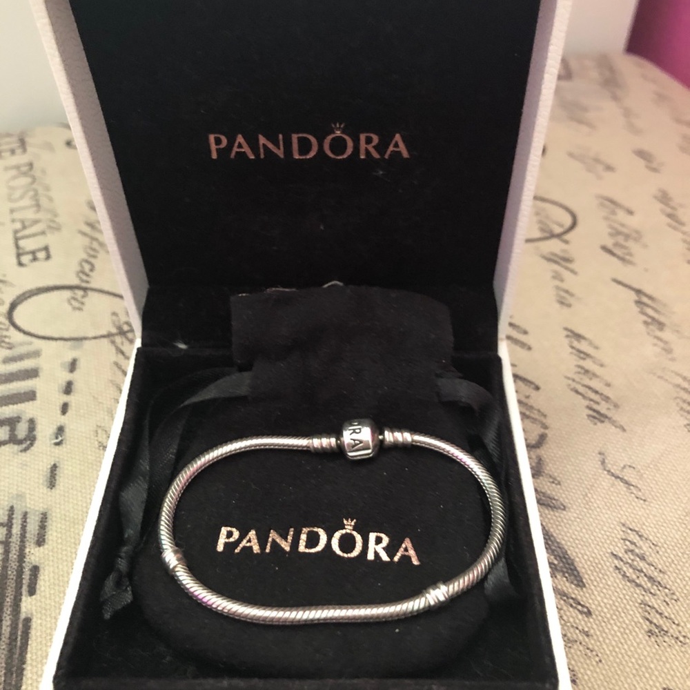 Pandora charm bracelet